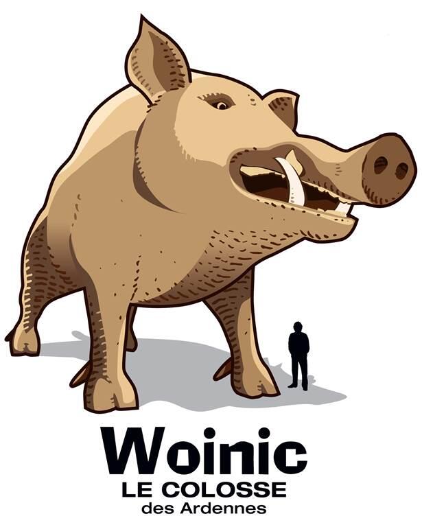 Woinic, le colosse des Ardennes