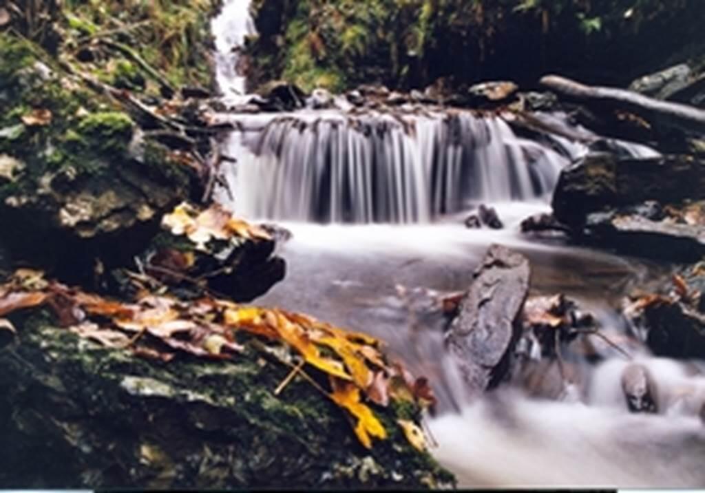 Le moulin de la Pille