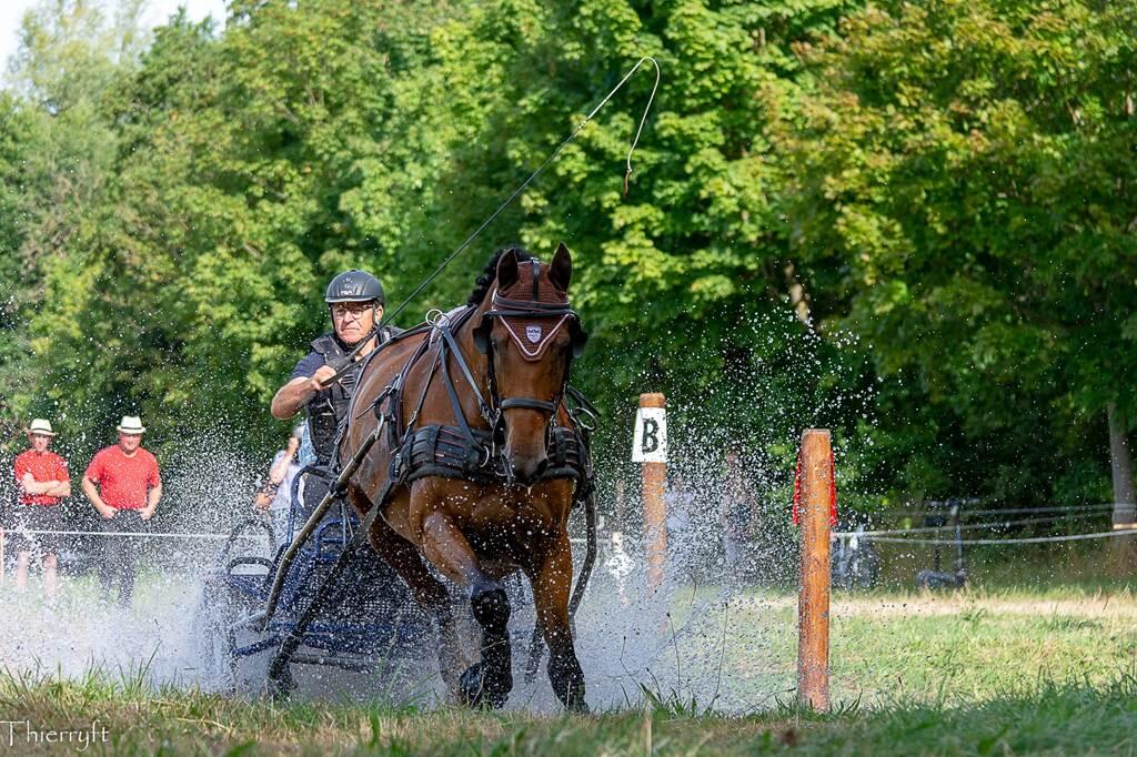 Concours attelage Boulzicourt