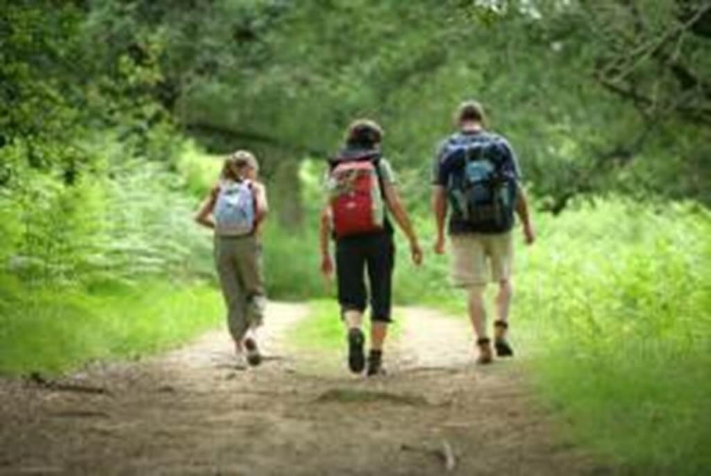 Chemin de la Piboulette
