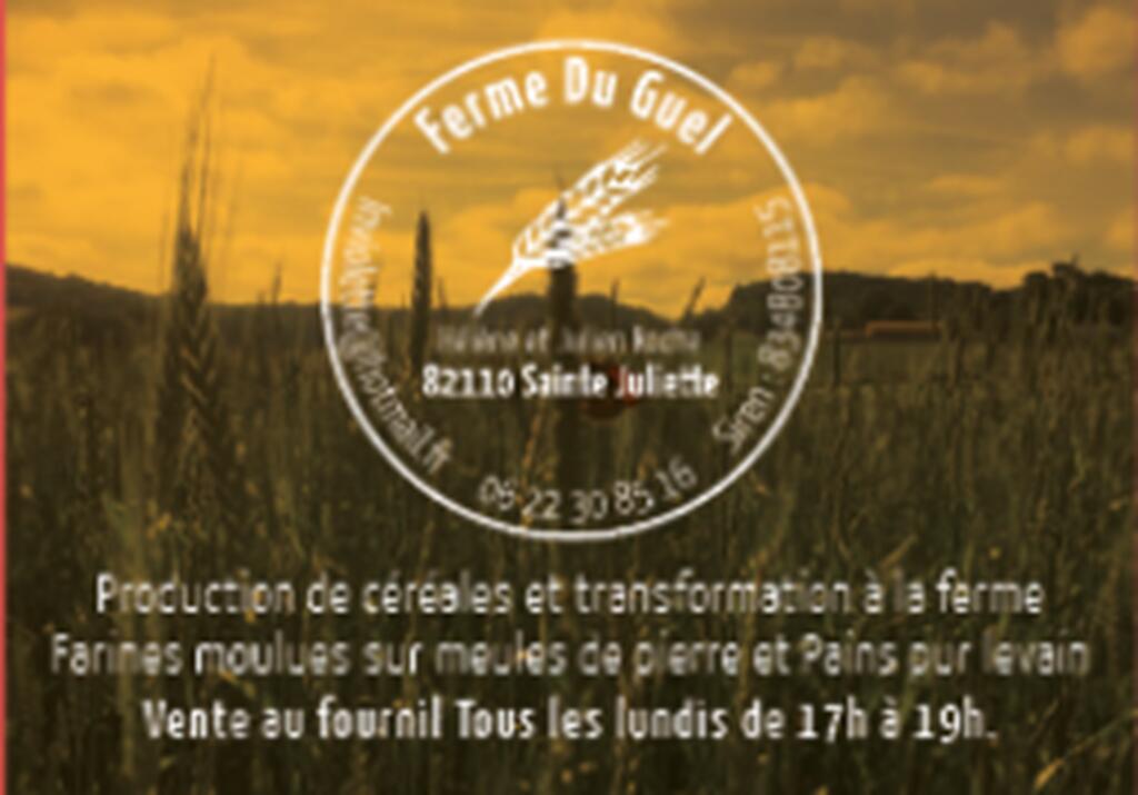 Ferme du Guel Sainte Juliette 82