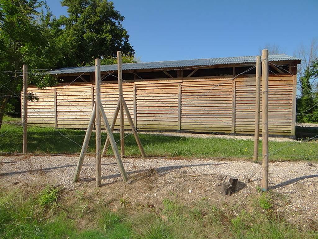 camp