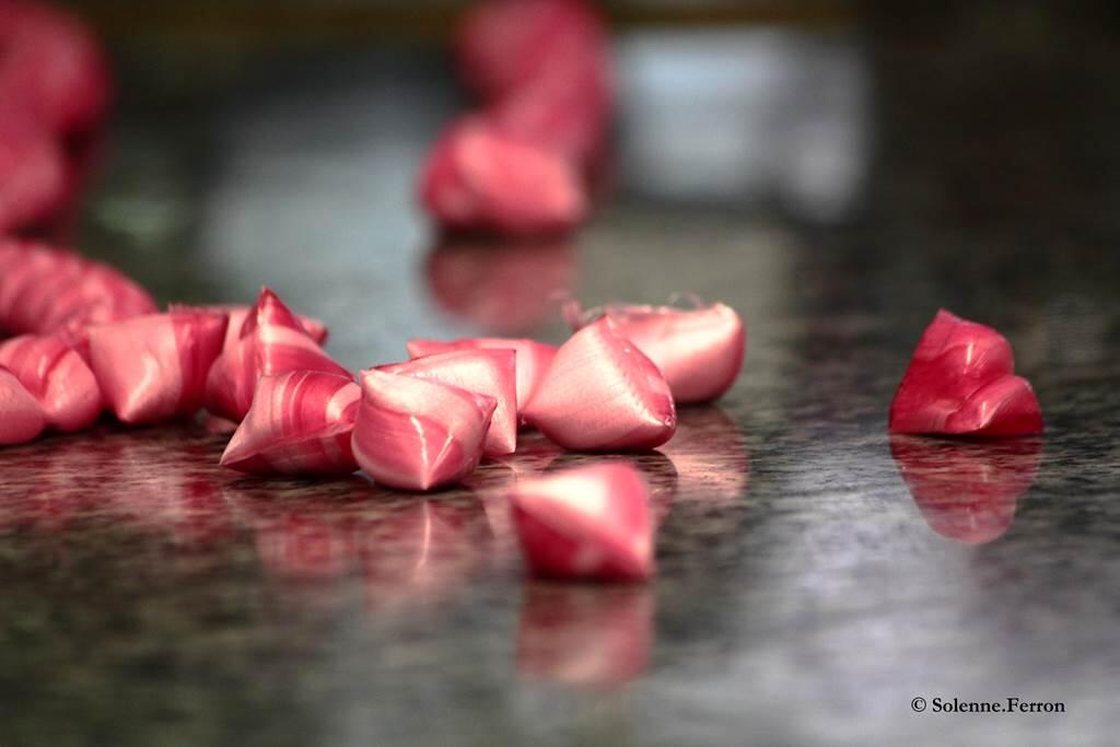 Visite de la Confiserie Ardennaise