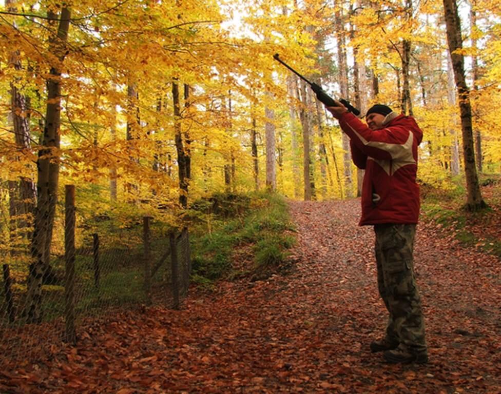 chasse