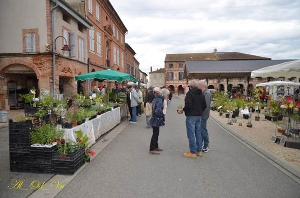 Foire aux Plantes de la Salicaire