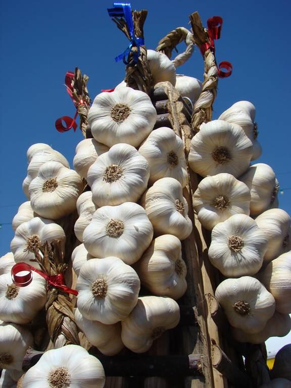 Ail blanc