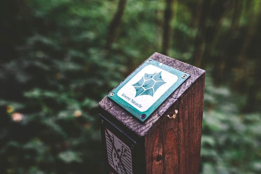 Sortie nature : La Réserve Naturelle Régionale de Bois en Val, un réservoir de Biodiversité en ville