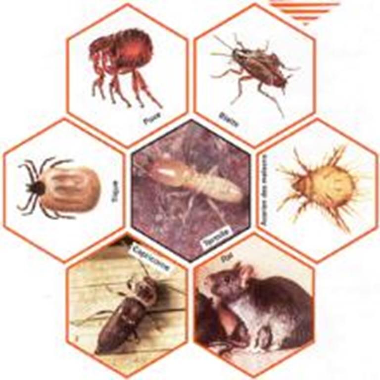 Laboratoire Aldor Dechosal