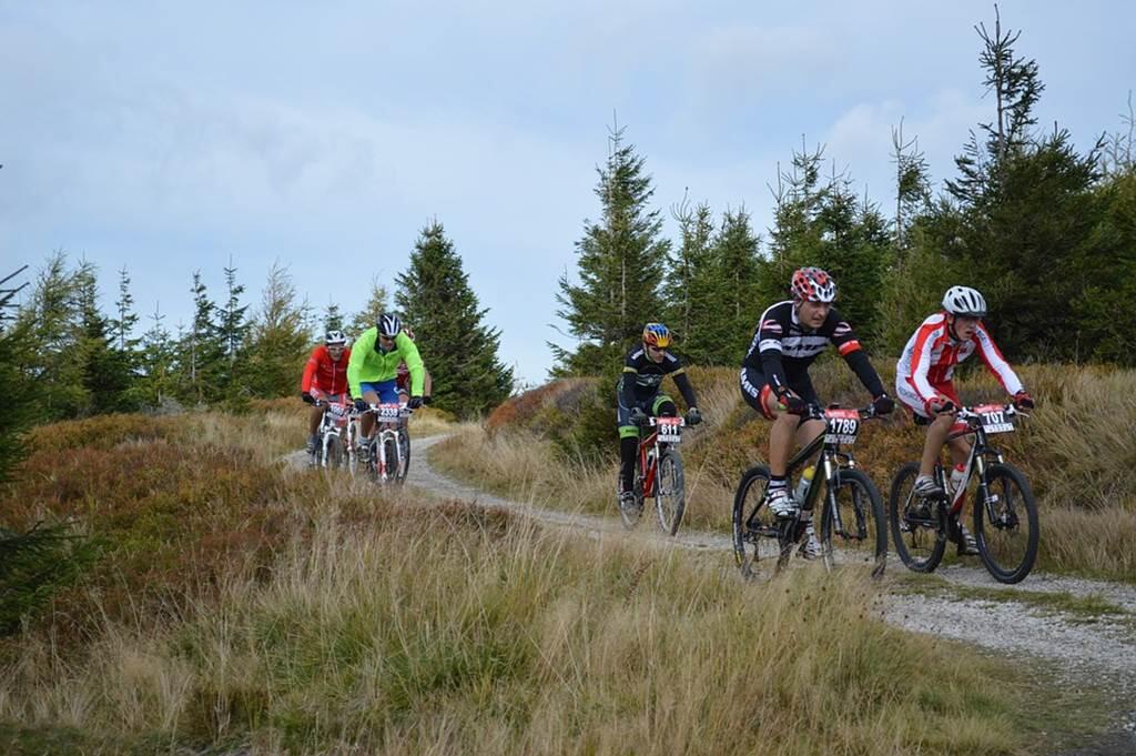 Circuits VTT