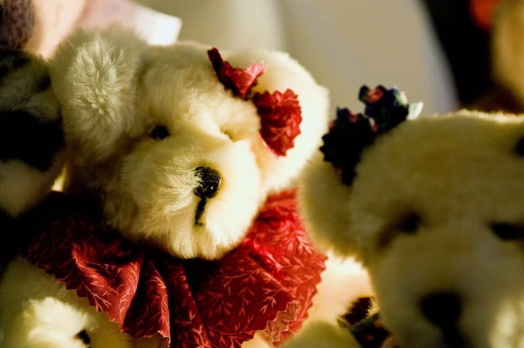 Les Ours des Crêtes