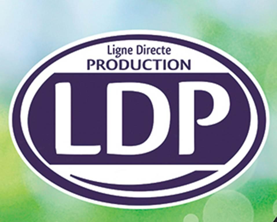 LDP