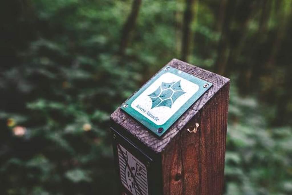 Sortie nature : Jeu de piste à la réserve de Bois-en-Val