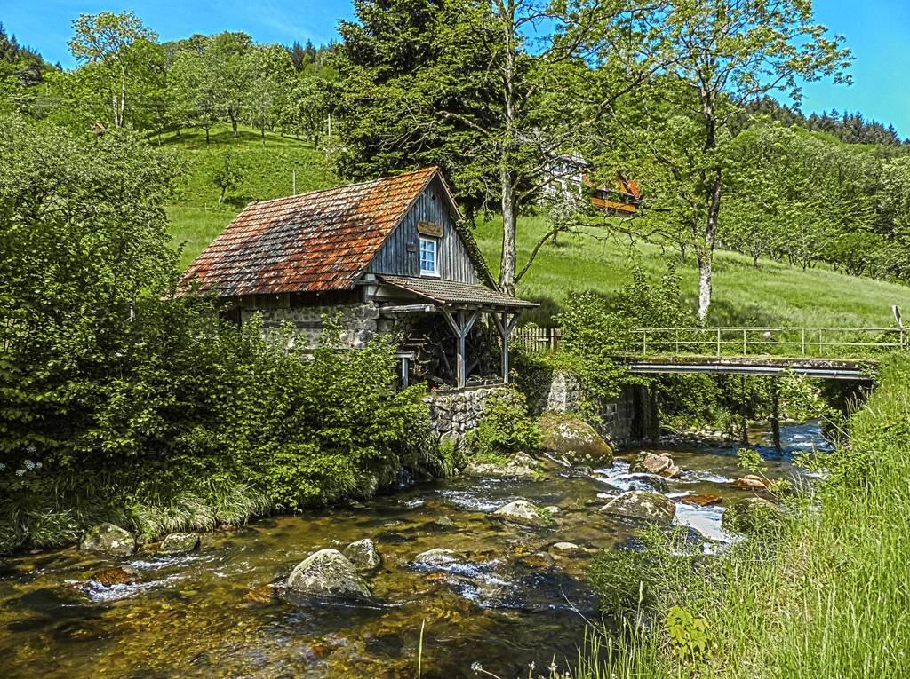 Moulin