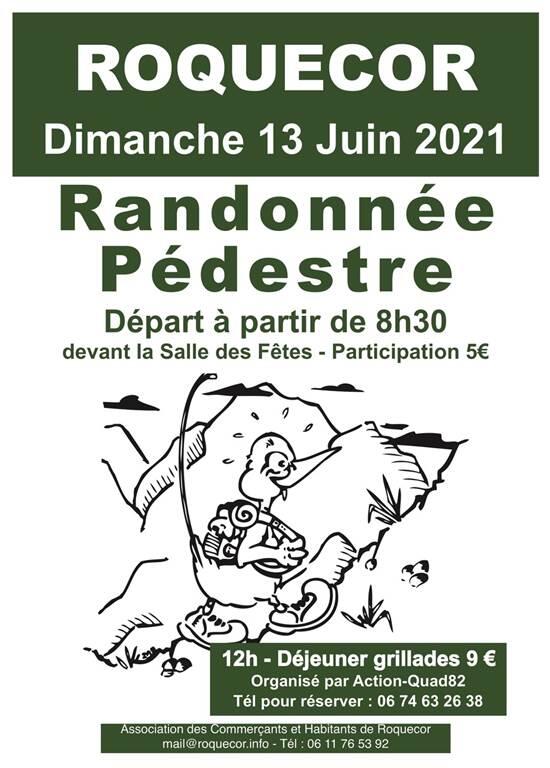 rando roquecor