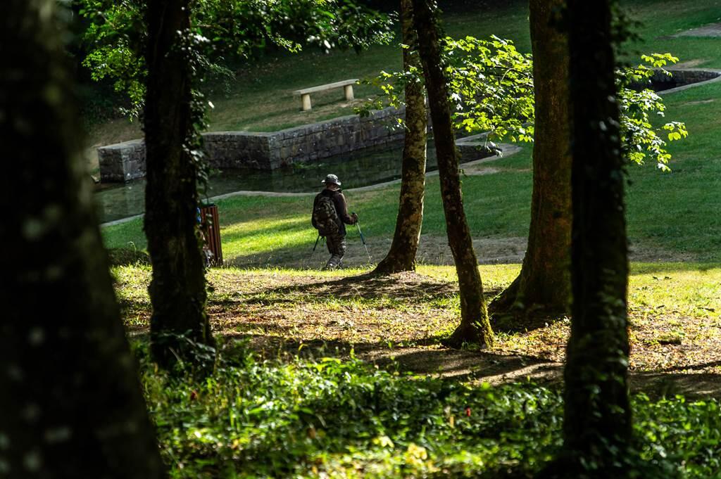 Sortie nature : Entre bois et pâture, découvrez la richesse d'Elan