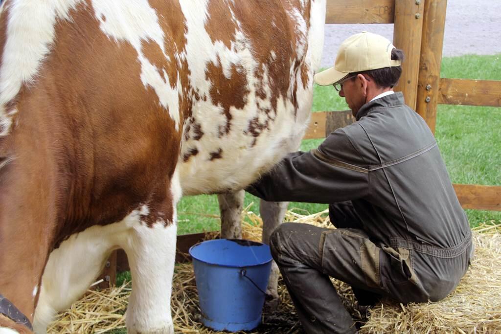 Les mardis à la ferme
