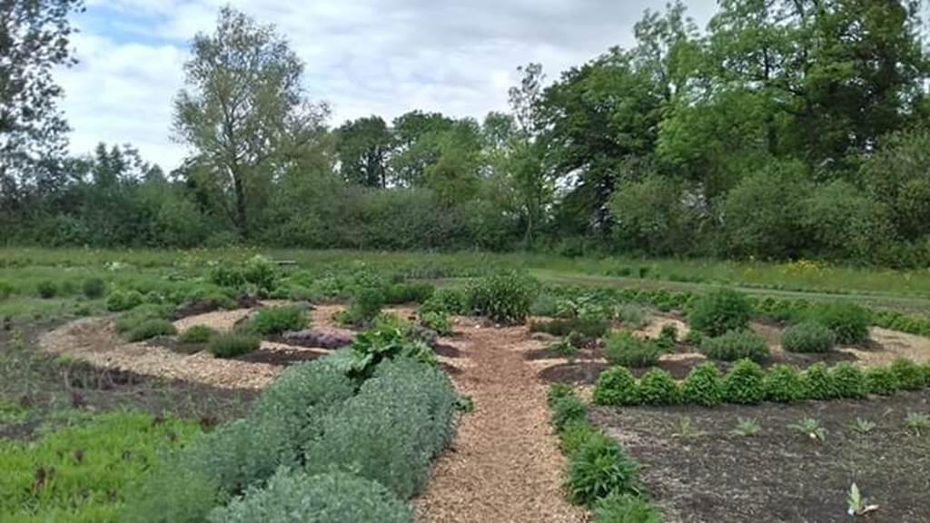 Jardin Mandala des Herbes Folles