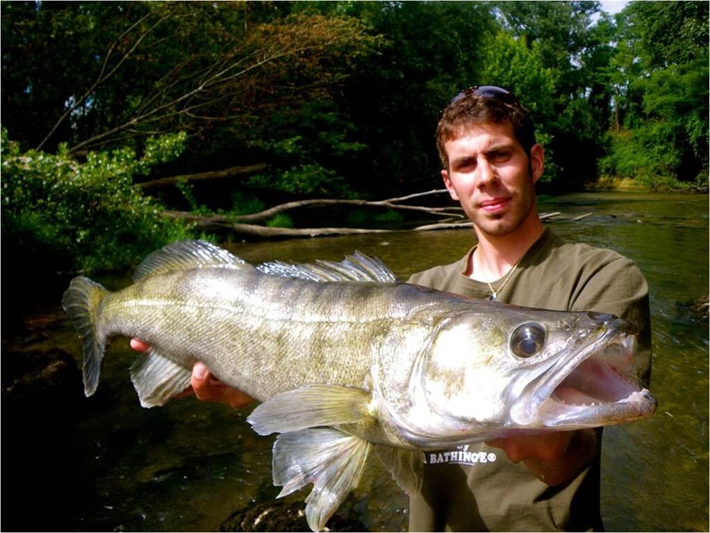 Pêche no-kill en Tarn et Garonne