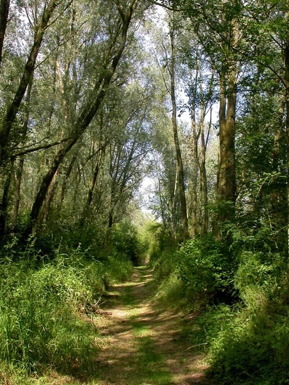 Le Rietz