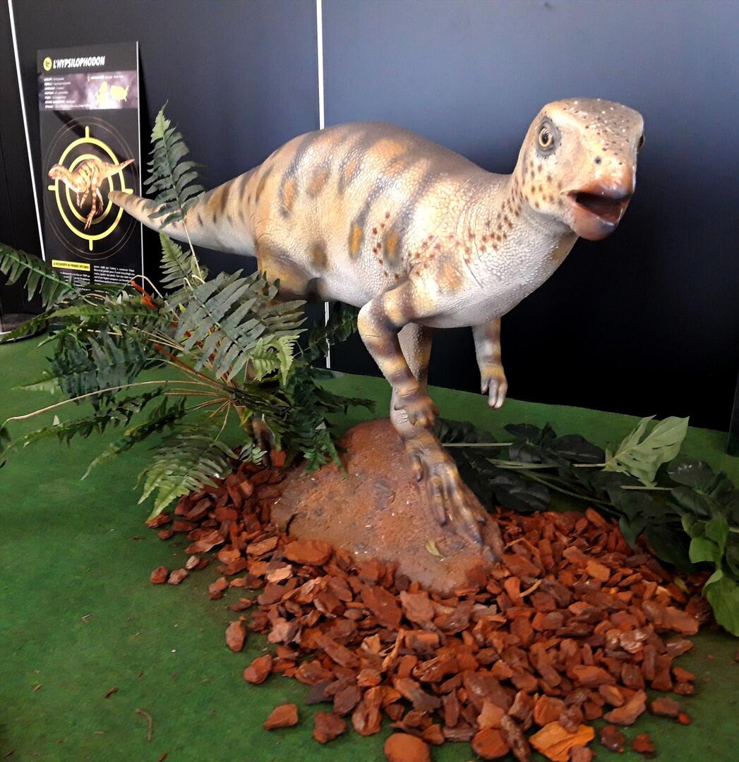 Une des maquettes de dinosaures.