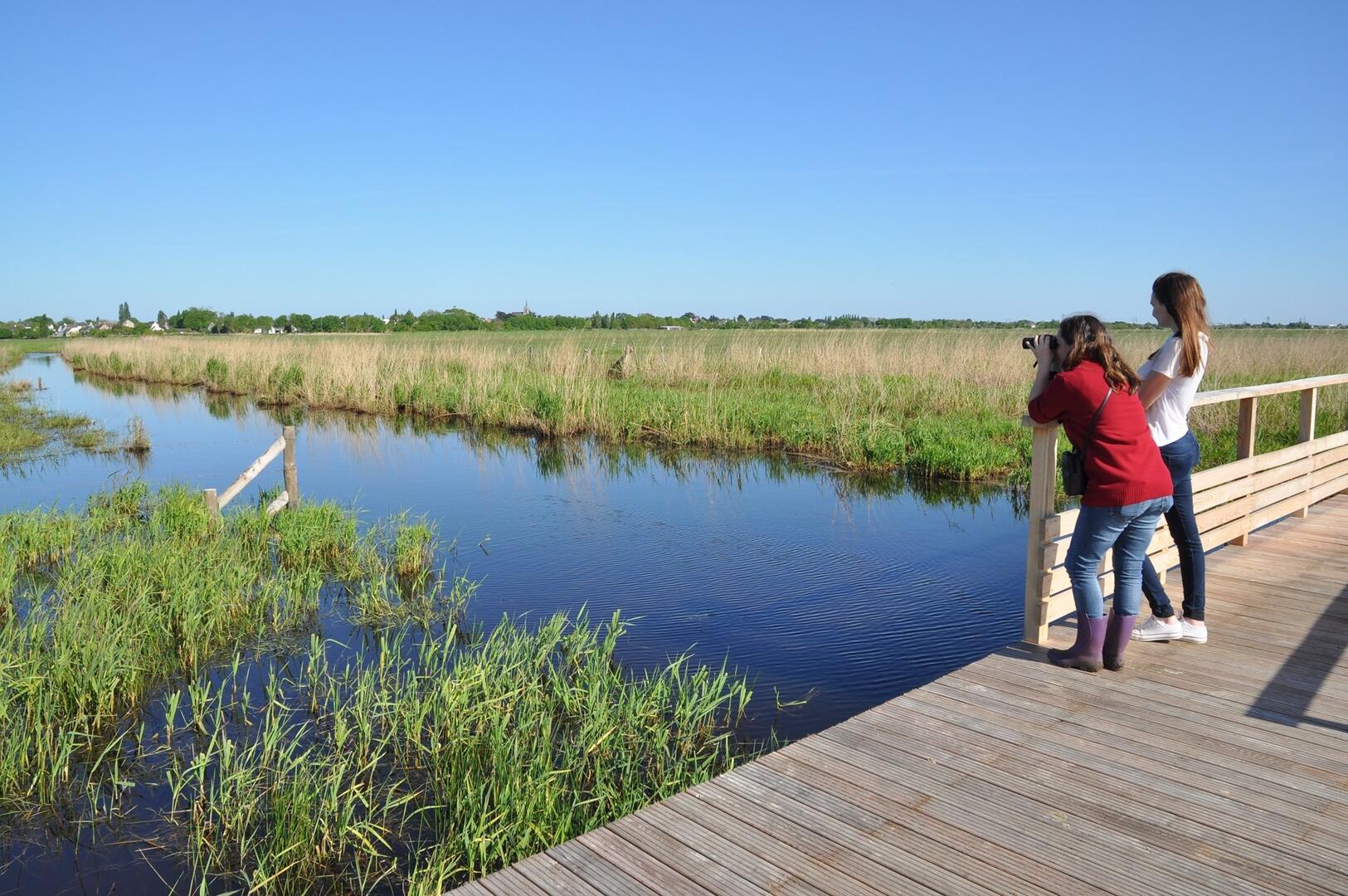 Immersion en Brière
