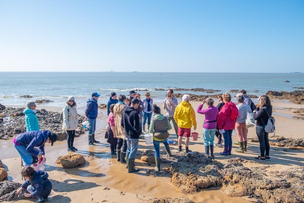 Les algues, nouvelles saveurs marines