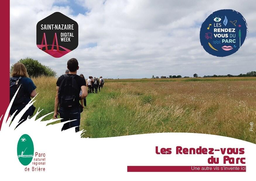 un immersion en bordure de marais