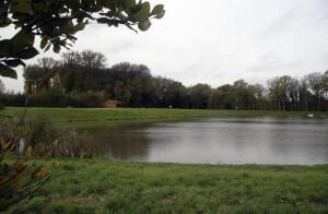 Etang des Carronnières