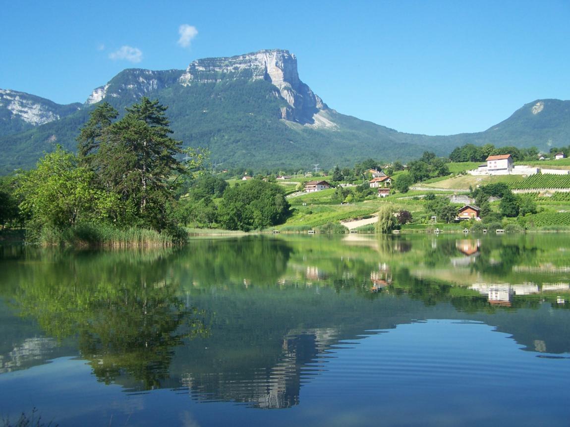 Vignoble et lac St André