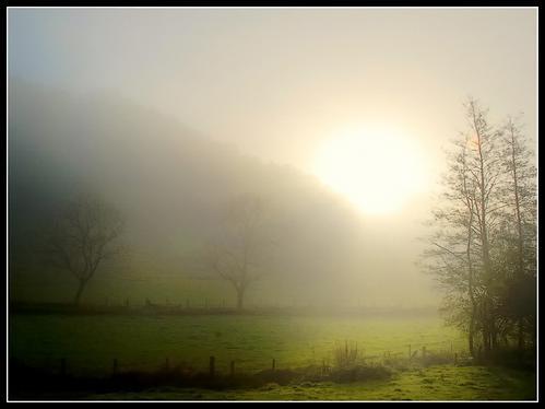 img-name-mising