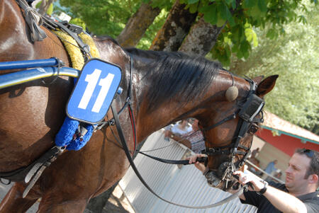 Hippodrome Bordevielle