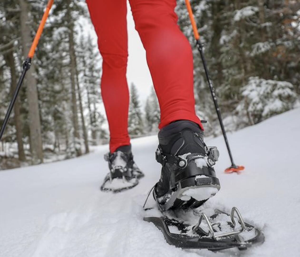 Sortie raquettes et tartiflette avec l'ESF de Valfréjus