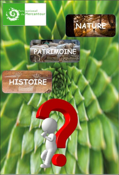 Quiz