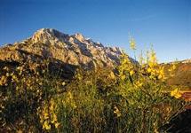 img-name-mising