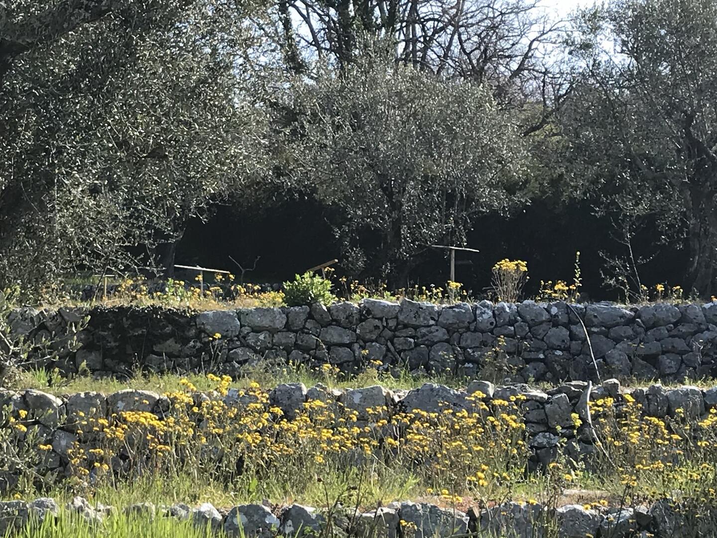 patrimoine