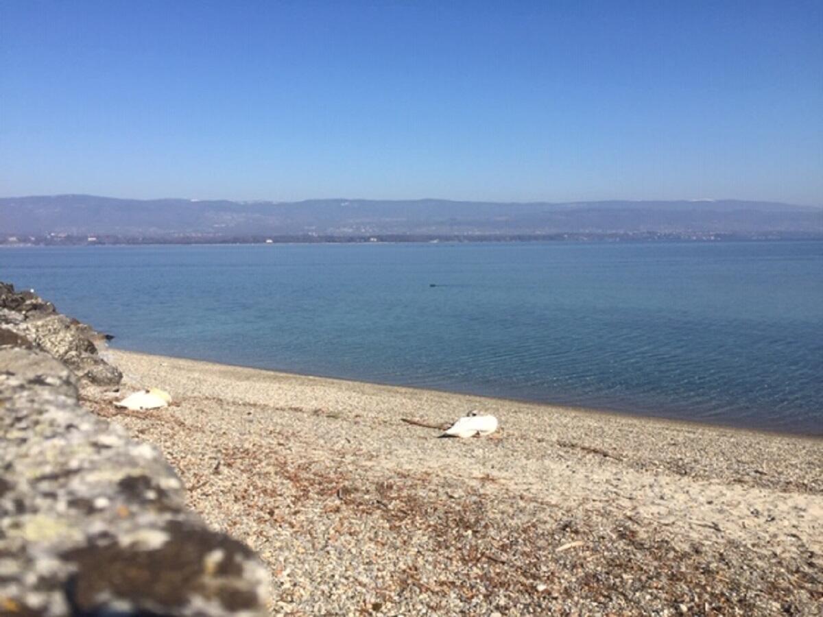 Plage de Nernier