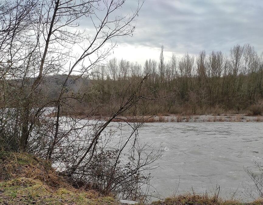 Bord de l'arve