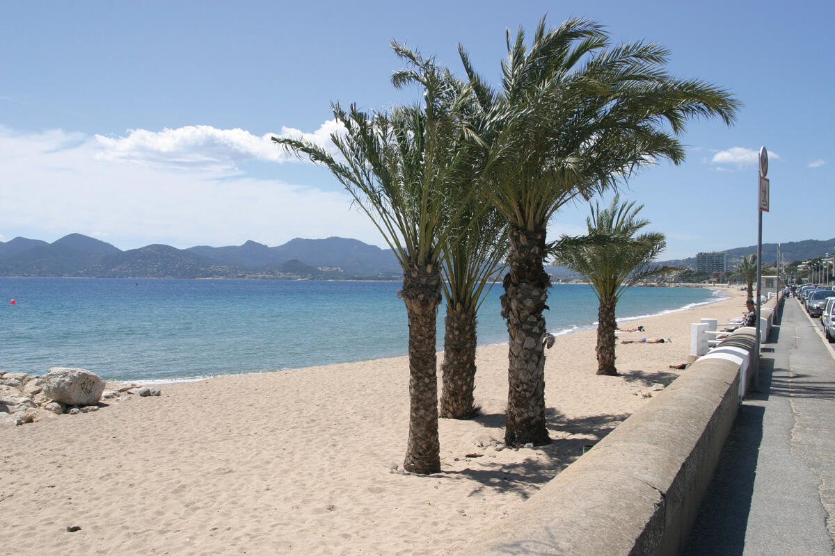 018-cannes-plage-HERZFELD-s