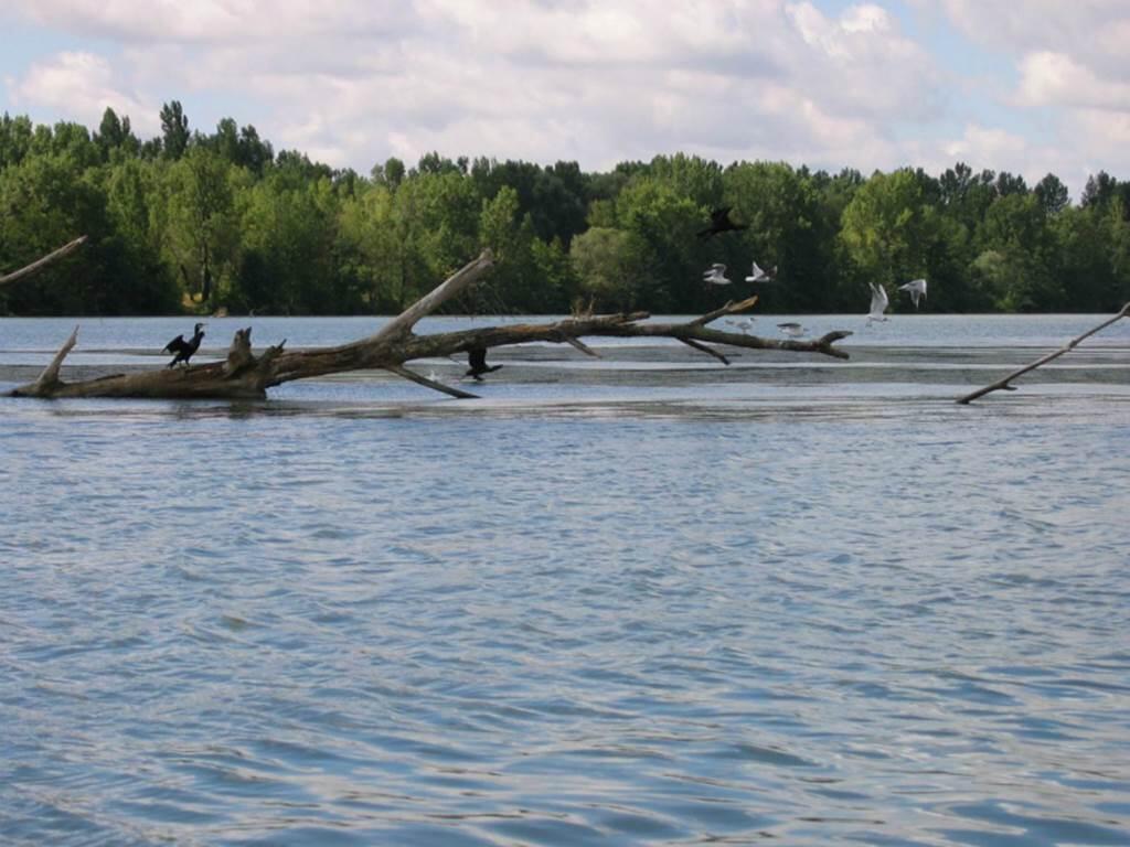 Circuit de l'observatoire aux oiseaux