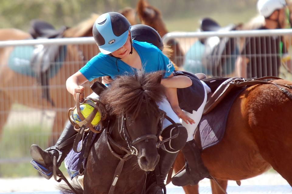 Horse Ball