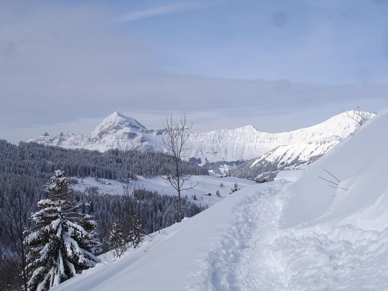 Vue depuis Le Mont-Rond