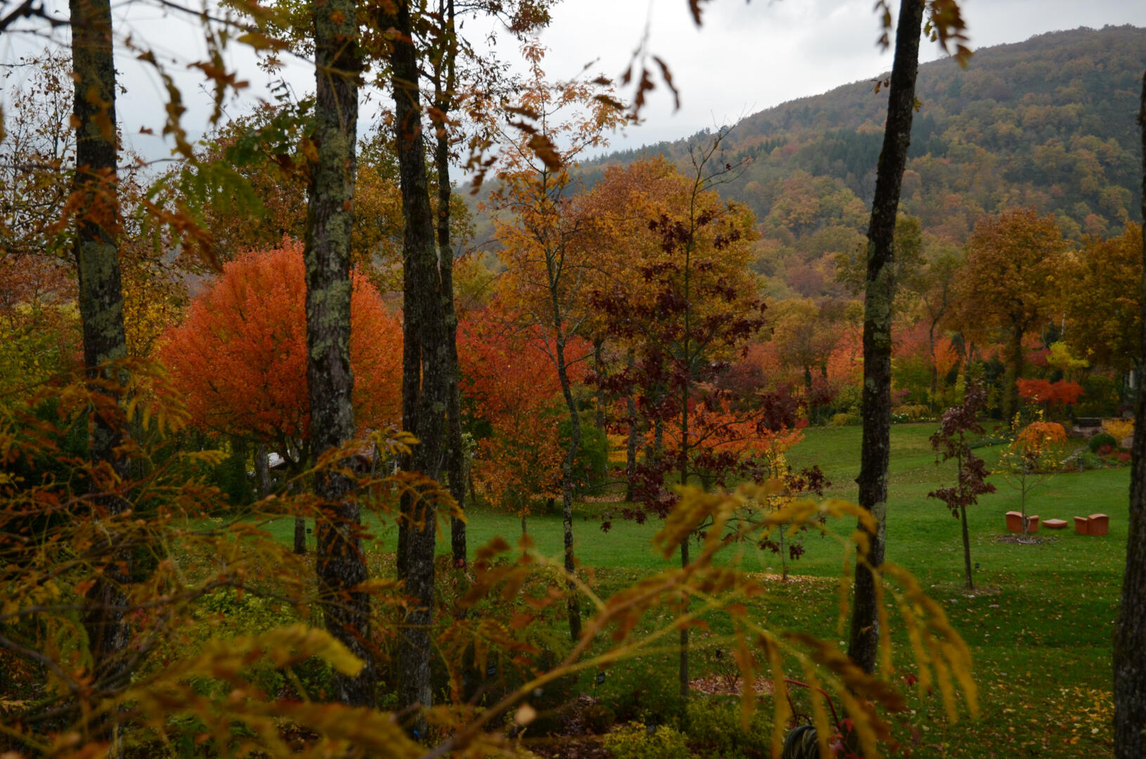 Jardin à l'automne