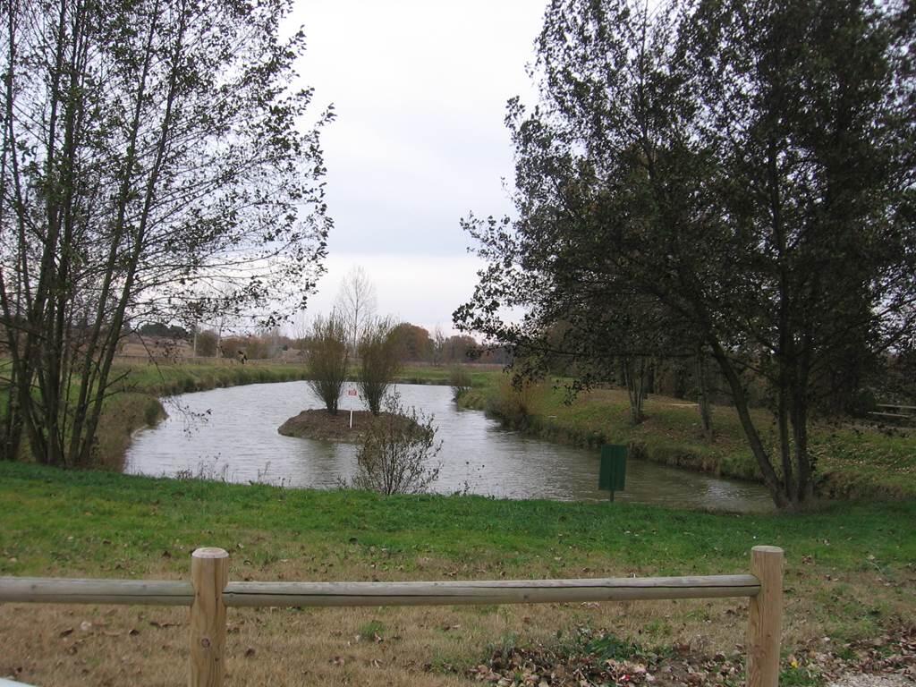 lac de Villemade, Tarn-et-Garonne, lac de pêche, nature
