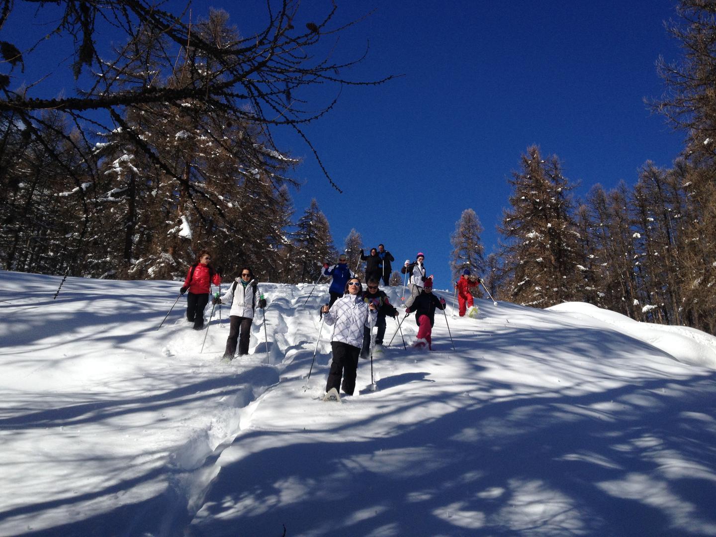 descente en poudreuse
