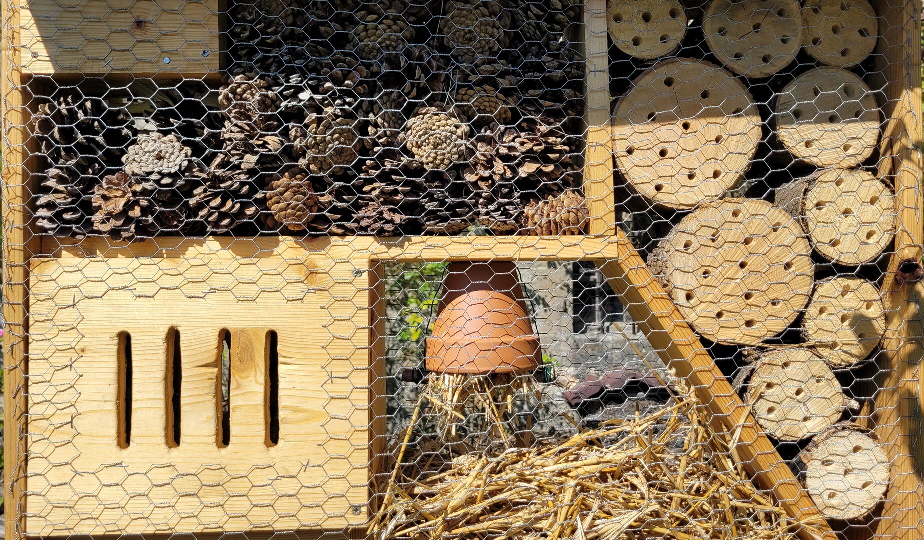 Refuge et biodiversité