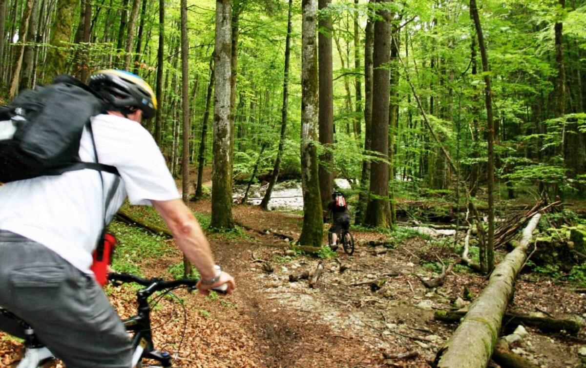 Descente en VTT le long de la Menoge