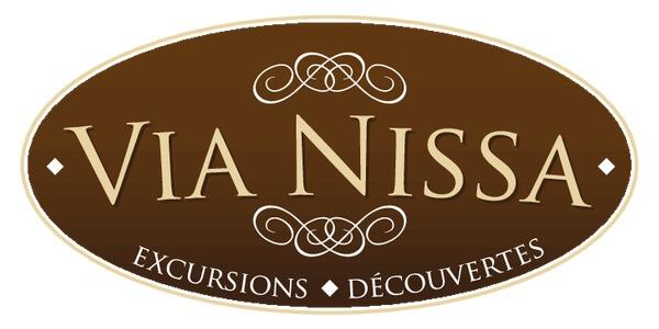 VIA NISSA LOGO.jpg