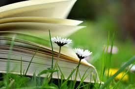 livre