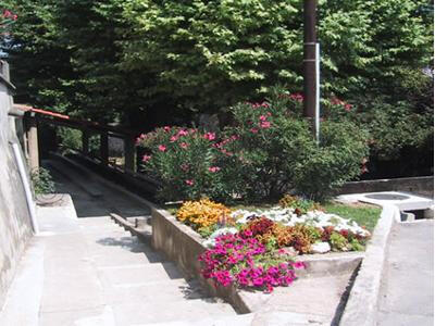 13T2001569_2_WEB.jpg