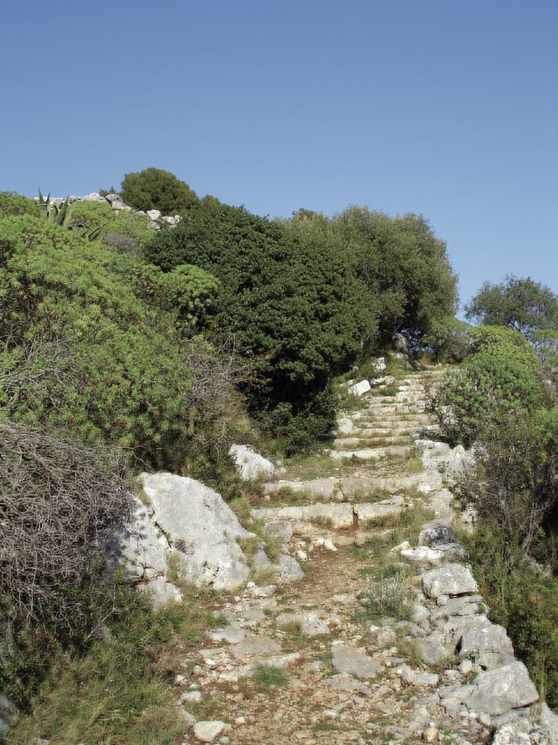 Le Mont des Mules